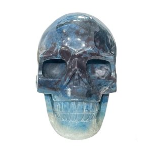 X-Large Trolleite Skull