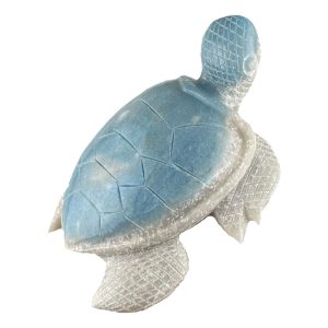 Large Trolleite Turtle