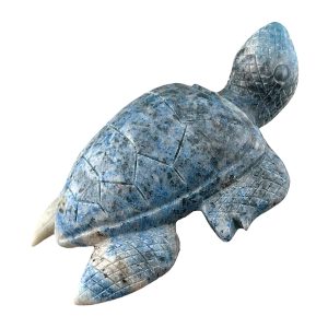 Large Trolleite Turtle