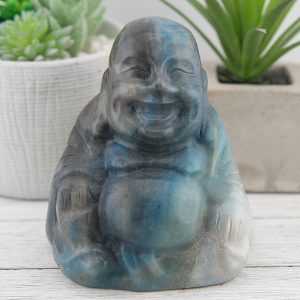 Alternative view of Trolleite Laughing Buddha