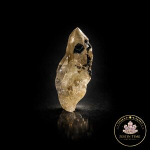 Black Tourmaline in Smoky Citrine Enhydro Quartz