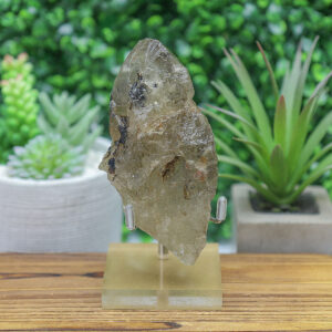 Black Tourmaline in Smoky Citrine Enhydro Quartz - Image 3