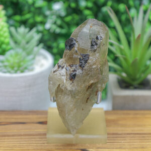 Black Tourmaline in Smoky Citrine Enhydro Quartz - Image 4