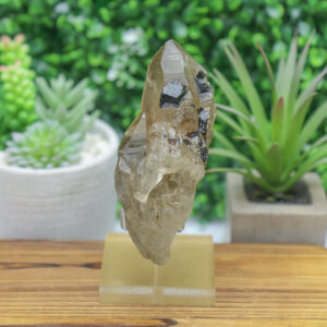 Black Tourmaline in Smoky Citrine Enhydro Quartz - Image 5