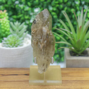 Black Tourmaline in Smoky Citrine Enhydro Quartz - Image 6