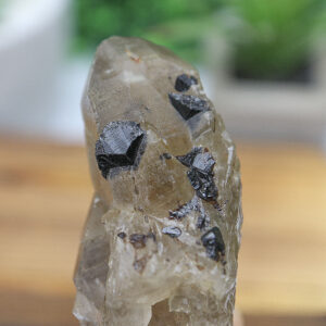 Black Tourmaline in Smoky Citrine Enhydro Quartz - Image 7