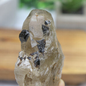 Black Tourmaline in Smoky Citrine Enhydro Quartz - Image 8