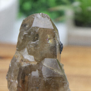 Black Tourmaline in Smoky Citrine Enhydro Quartz - Image 13