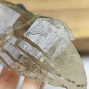 Black Tourmaline in Smoky Citrine Enhydro Quartz - Image 15