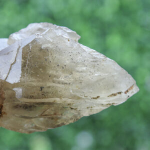 Black Tourmaline in Smoky Citrine Enhydro Quartz - Image 18