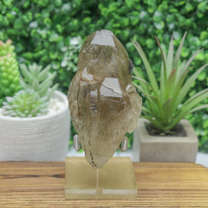 Alternative view of Black Tourmaline in Smoky Citrine Enhydro Quartz