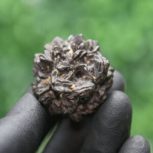 Prophecy Stone Cluster - Image 6