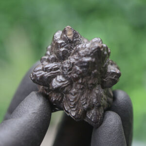 Prophecy Stone Cluster - Image 4