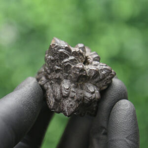 Prophecy Stone Cluster - Image 6