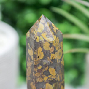 Ajooba Jasper Tower - Image 4