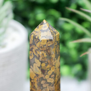 Ajooba Jasper Tower - Image 4