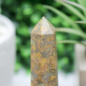 Ajooba Jasper Tower - Image 4