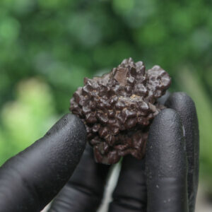 Prophecy Stone Cluster - Image 6