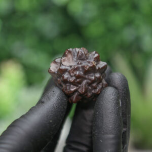 Prophecy Stone Cluster - Image 5