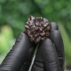 Prophecy Stone Cluster - Image 6