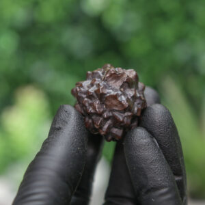 Prophecy Stone Cluster - Image 7