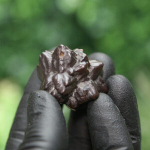 Prophecy Stone Cluster - Image 7