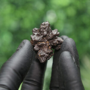Prophecy Stone Cluster - Image 5