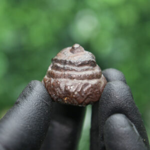 Prophecy Stone Cluster - Image 4