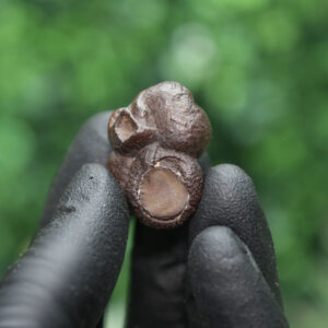 Prophecy Stone Cluster - Image 7