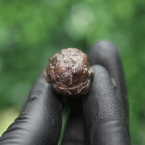 Prophecy Stone Cluster - Image 7