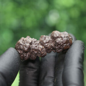 Prophecy Stone Cluster - Image 6