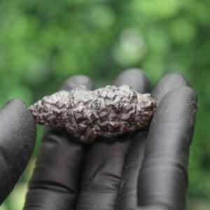 Prophecy Stone Cluster - Image 7