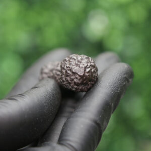Prophecy Stone Cluster - Image 7