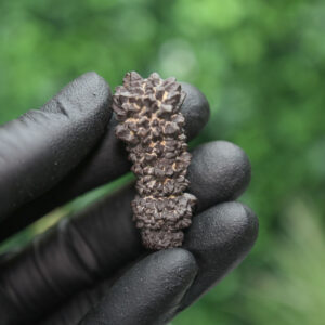 Prophecy Stone Cluster - Image 4