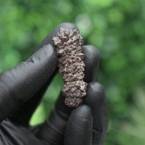 Prophecy Stone Cluster - Image 5
