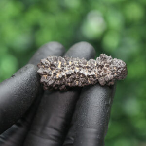 Prophecy Stone Cluster - Image 6