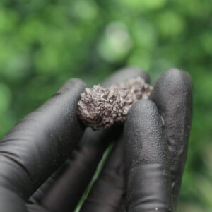 Prophecy Stone Cluster - Image 7