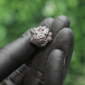 Prophecy Stone Cluster - Image 6