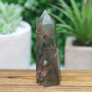 Alternative view of African Blood Stone Tower