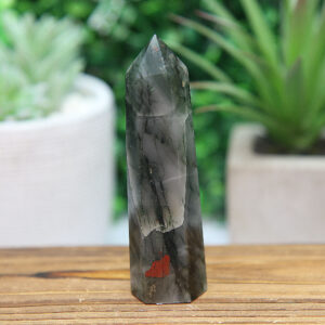 Alternative view of African Blood Stone Tower