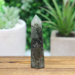 Alternative view of African Blood Stone Tower